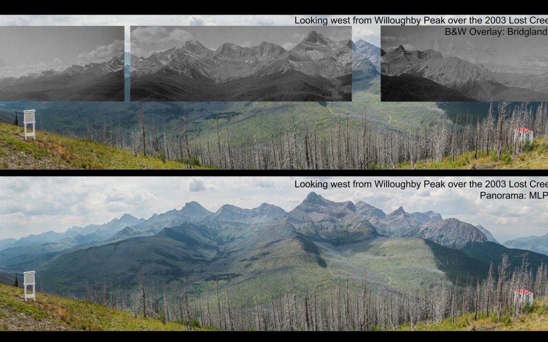 The View from Here: Panoramas of Change from Alberta’s Fire Lookouts