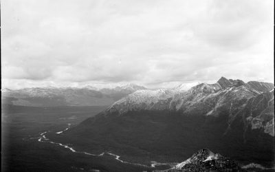 Different viewpoints, same landscape: do land-based photos and Landsat imagery paint the same picture?