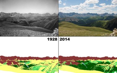 Deep learning offers new prospects for exploration of Canada’s changing mountain ecosystems