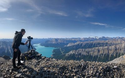 Who do we want to be here?