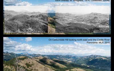 Introducing “A century of high elevation ecosystem change in the Canadian Rocky Mountains”