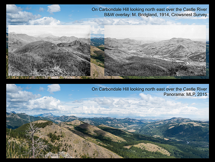 Introducing “A century of high elevation ecosystem change in the Canadian Rocky Mountains”