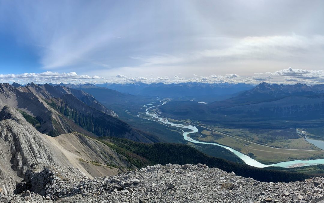 Fieldwork in a Time of COVID-19 Part 3: Jasper National Park
