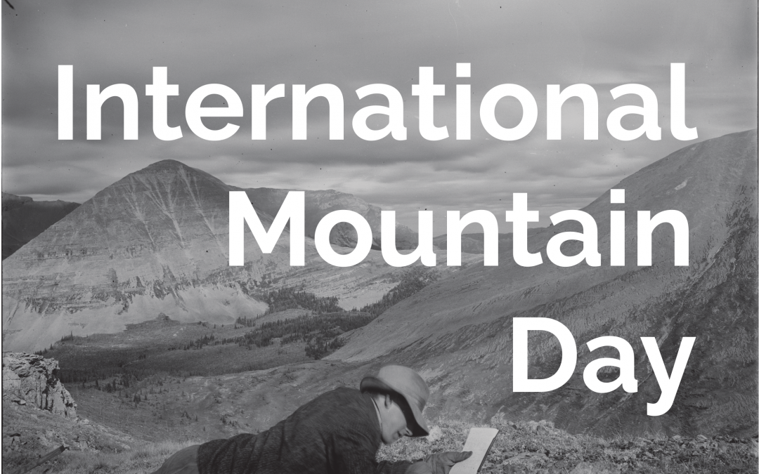Celebrating International Mountain Day 2023:  Restoring Mountain Ecosystems