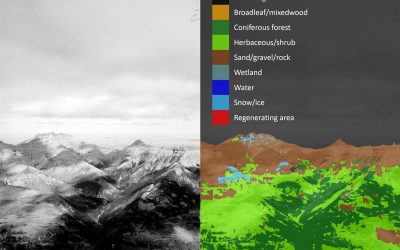 Mountain Image Analysis Suite (MIAS): A new plugin for converting oblique images to landcover maps in QGIS